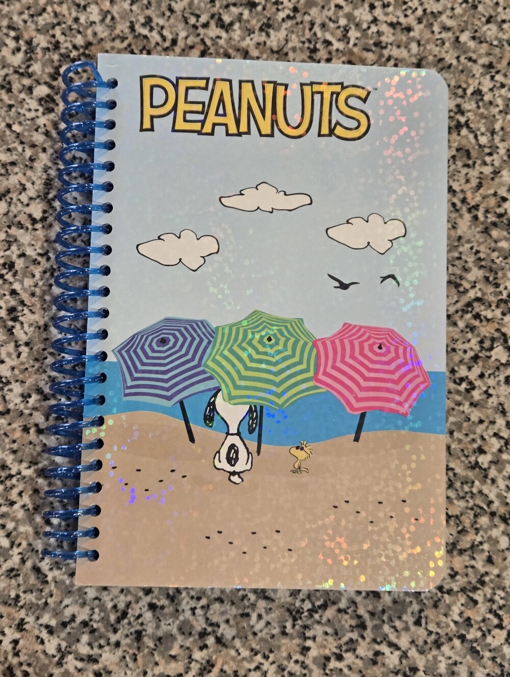 Peanuts Spiral Notebook with Beach Umbrella Design - Blue, Green, Pink
